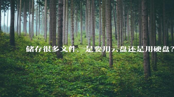 储存很多文件,是要用云盘还是用硬盘?