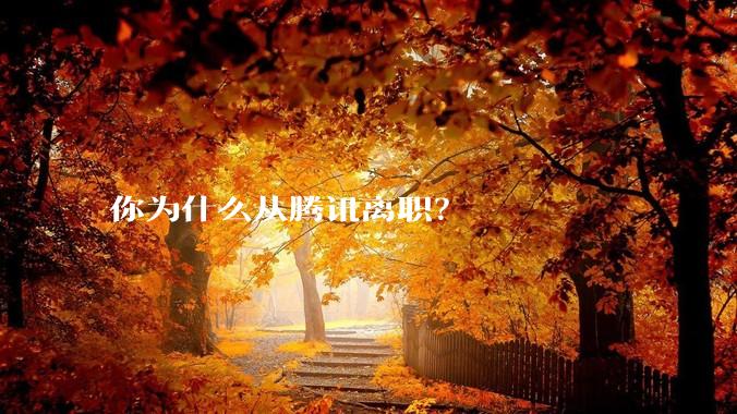 你为什么从腾讯离职?