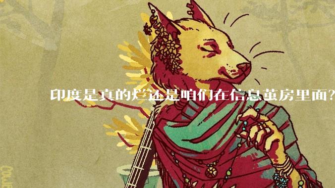 印度是真的烂还是咱们在信息茧房里面?