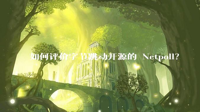 如何评价字节跳动开源的 Netpoll?