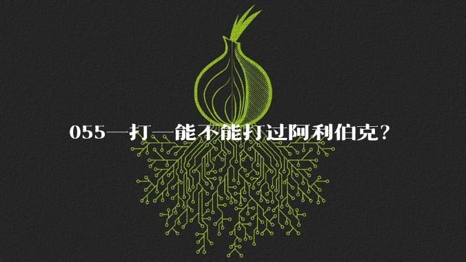 055一打一能不能打过阿利伯克?