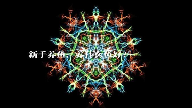 新手养鱼,养什么鱼好?