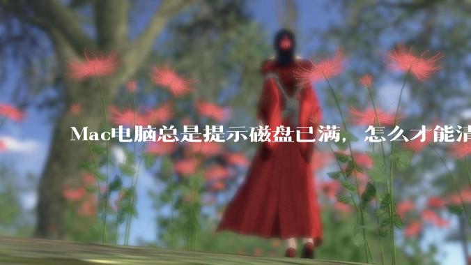 Mac电脑总是提示磁盘已满,怎么才能清理干净?