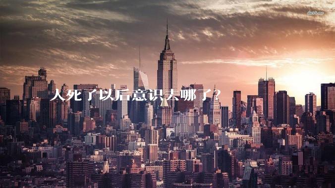 人死了以后意识去哪了?