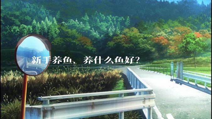 新手养鱼,养什么鱼好?