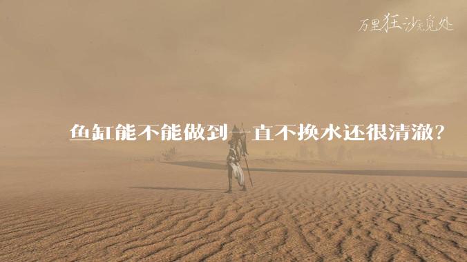 鱼缸能不能做到一直不换水还很清澈?