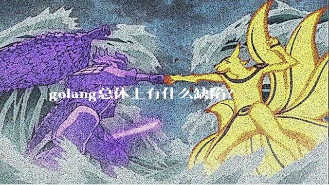 golang总体上有什么缺陷?
