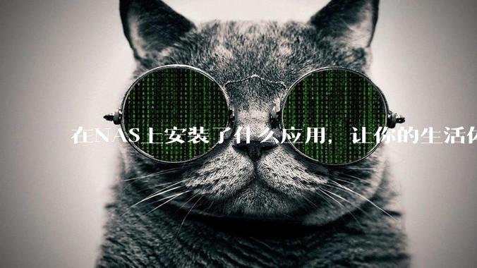 在NAS上安装了什么应用,让你的生活体验有了巨大的提升?