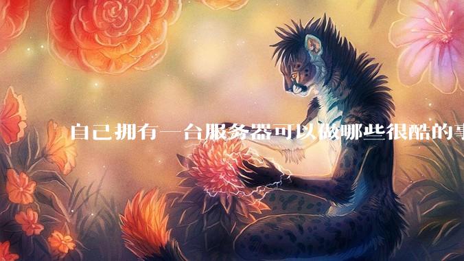 自己拥有一台服务器可以做哪些很酷的事情?