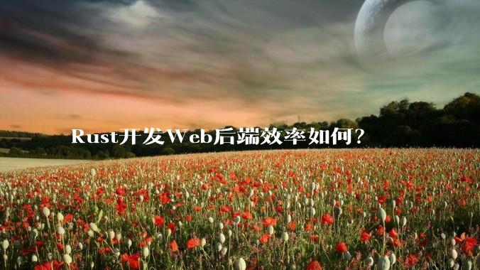 Rust开发Web后端效率如何?
