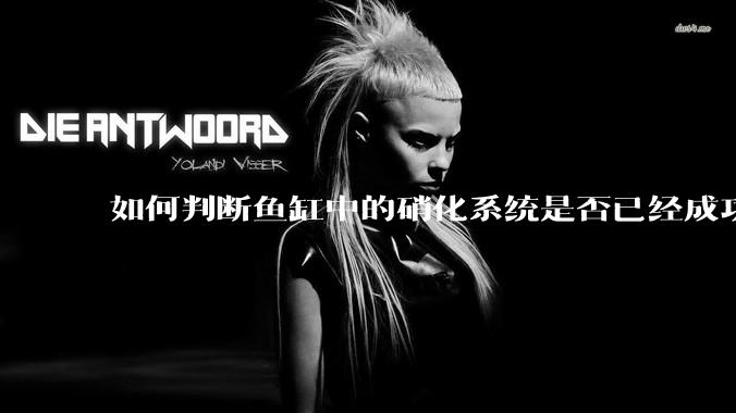 如何判断鱼缸中的硝化系统是否已经成功建立?