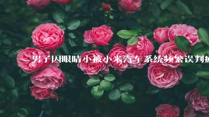 男子因眼睛小被小米汽车系统频繁误判疲劳驾驶,一路提醒20多次,这是智能汽车通病吗?怎么解决该 bug?