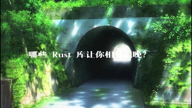 哪些 Rust 库让你相见恨晚?
