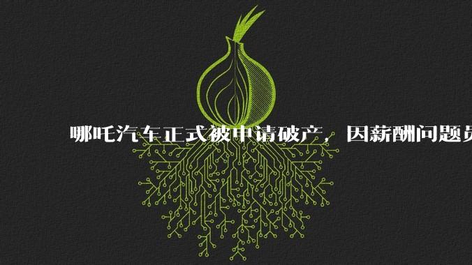 哪吒汽车正式被申请破产,因薪酬问题员工已两月没去上班,被申请破产意味着什么?员工权益还能得到保障吗?