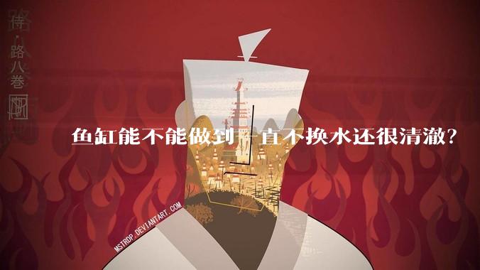 鱼缸能不能做到一直不换水还很清澈?