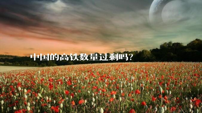 中国的高铁数量过剩吗?