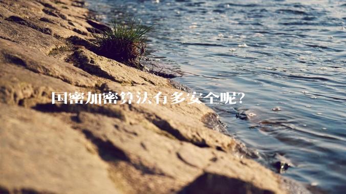 国密加密算法有多安全呢?