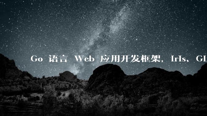 Go 语言 Web 应用开发框架,Iris、Gin、Echo,哪一个更适合大型项目?