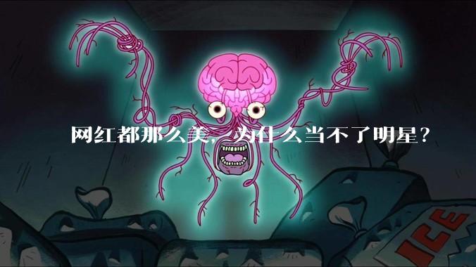 网红都那么美,为什么当不了明星?
