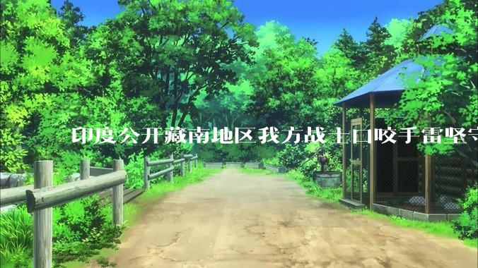 印度公开藏南地区我方战士口咬手雷坚守的***,是想表达什么?