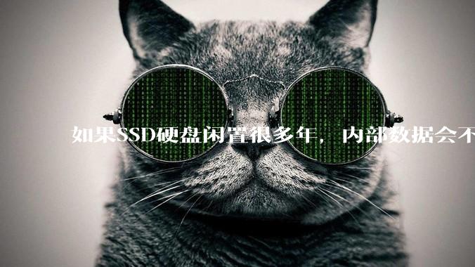 如果SSD硬盘闲置很多年,内部数据会不会丢失?