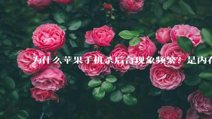 为什么苹果手机杀后台现象频繁?是内存不够、后台管理严格还是其他原因呢?
