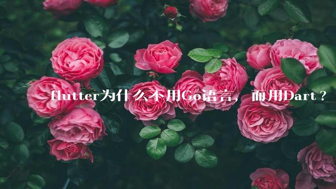 flutter为什么不用Go语言,而用Dart?