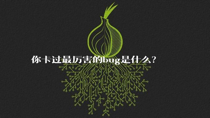 你卡过最厉害的bug是什么?