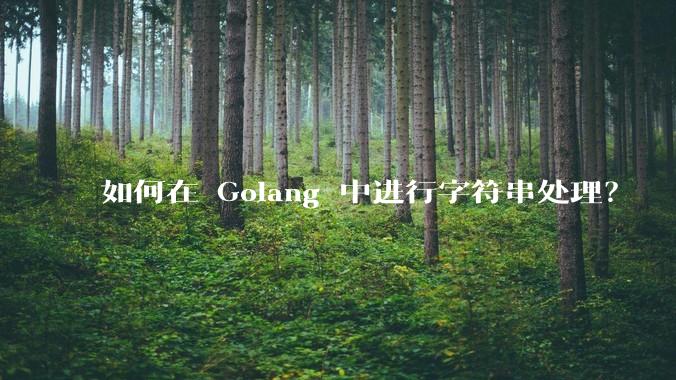 如何在 Golang 中进行字符串处理?