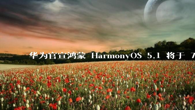 华为官宣鸿蒙 HarmonyOS 5.1 将于 7 月开启升级,对此你怎么看?会选择第一时间升级吗?