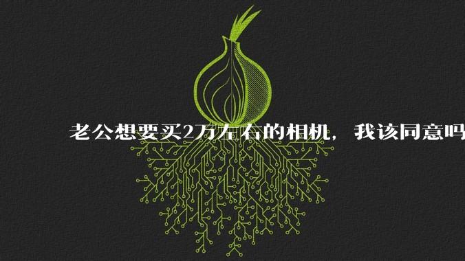 老公想要买2万左右的相机,我该同意吗?