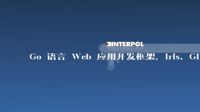 Go 语言 Web 应用开发框架,Iris、Gin、Echo,哪一个更适合大型项目?