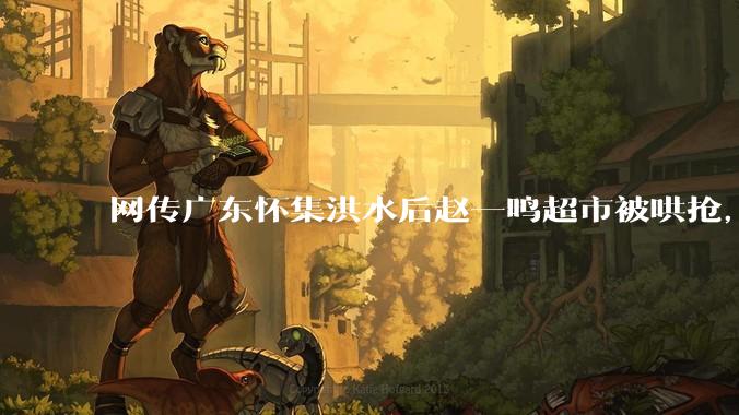 网传广东怀集洪水后赵一鸣超市被哄抢,县***回应相关单位正在核实,若属实哄抢者该承担哪些法律责任?