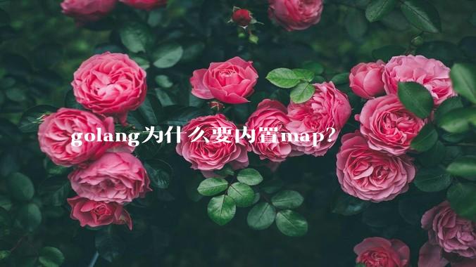 golang为什么要内置map?