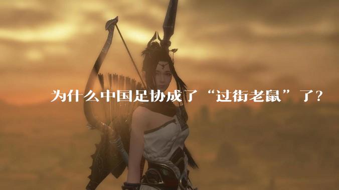 为什么中国足协成了“过街老鼠”了?