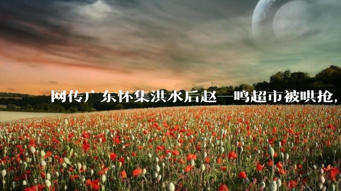 网传广东怀集洪水后赵一鸣超市被哄抢,县***回应相关单位正在核实,若属实哄抢者该承担哪些法律责任?