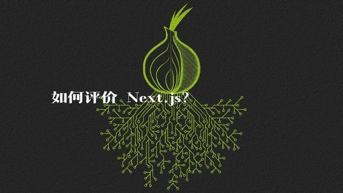 如何评价 Next.js?