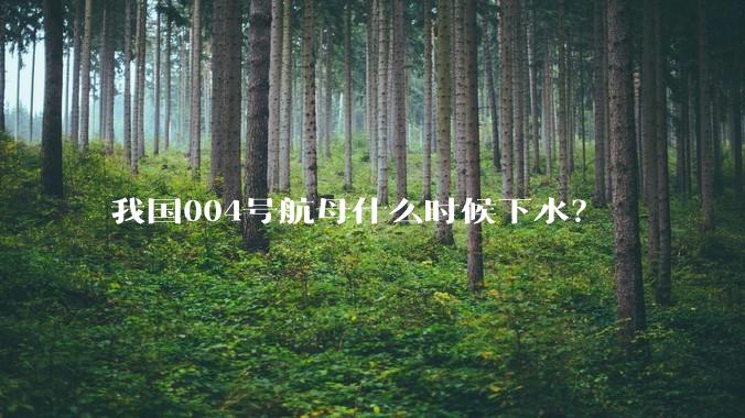 我国004号航母什么时候下水?