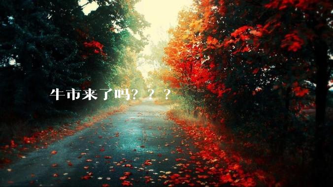 牛市来了吗???