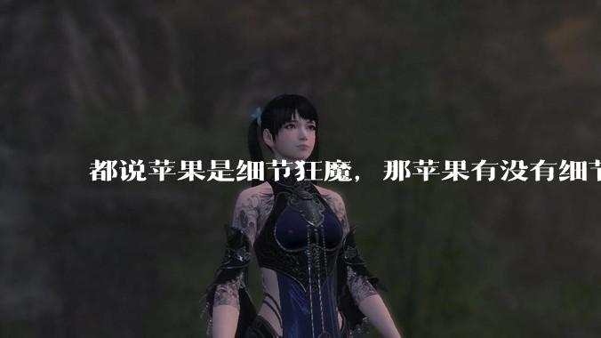 都说苹果是细节狂魔,那苹果有没有细节其实做的很差的点?