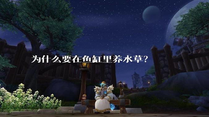 为什么要在鱼缸里养水草?