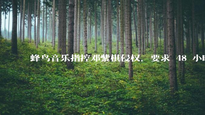 蜂鸟音乐指控邓紫棋侵权,要求 48 小时内下架重录歌曲,邓紫棋回应「不会下架」,这一指控合理吗?