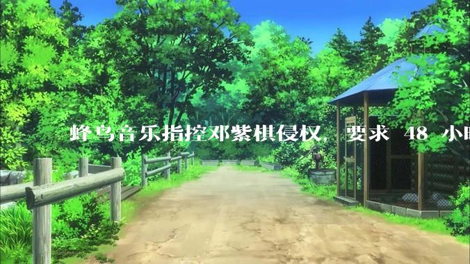 蜂鸟音乐指控邓紫棋侵权,要求 48 小时内下架重录歌曲,邓紫棋回应「不会下架」,这一指控合理吗?