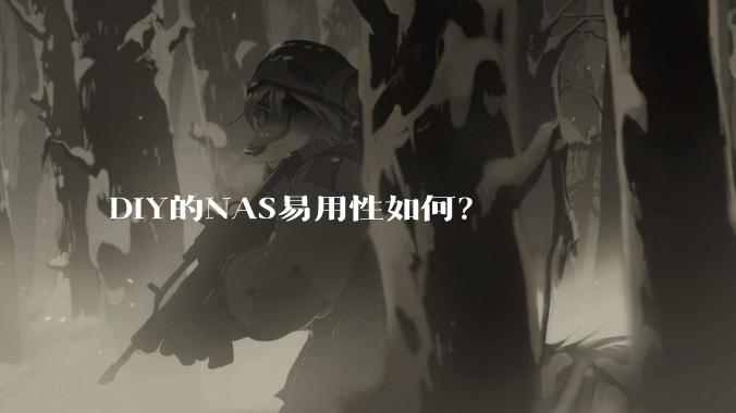 DIY的NAS易用性如何?