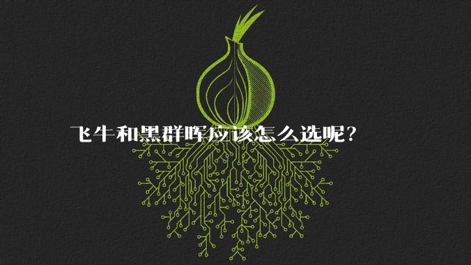 飞牛和黑群晖应该怎么选呢?