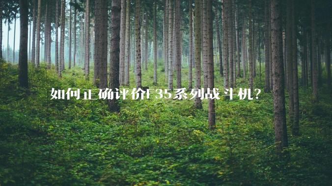 如何正确评价F35系列战斗机?