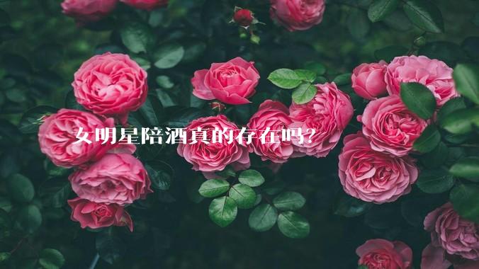 女明星陪酒真的存在吗?