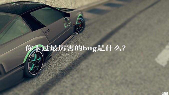 你卡过最厉害的bug是什么?