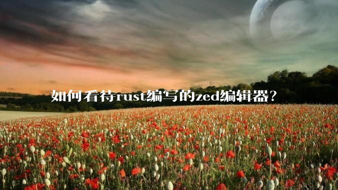 如何看待rust编写的zed编辑器?