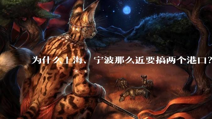 为什么上海、宁波那么近要搞两个港口?不会恶性竞争么?